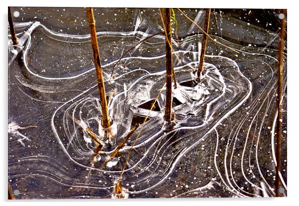 Ice Maze Acrylic by Ray Fidler