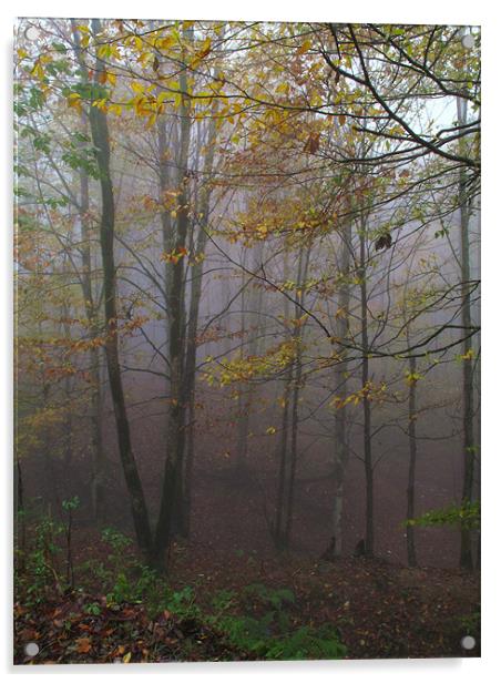 Fog in Forest Acrylic by Shervin Moshiri