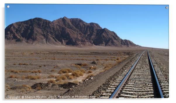 Rail Road in the Desert Acrylic by Shervin Moshiri