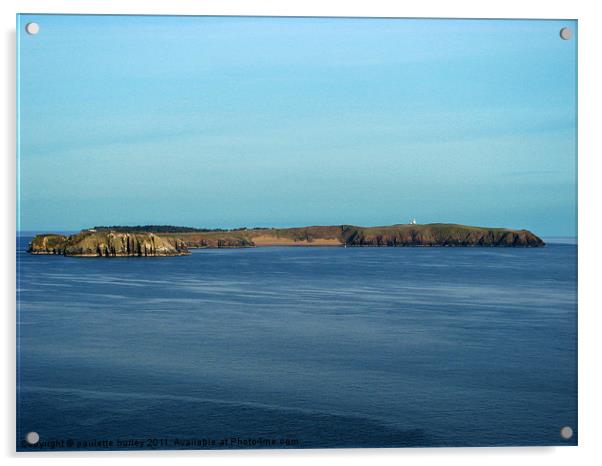 Caldey Island.Tenby. Acrylic by paulette hurley