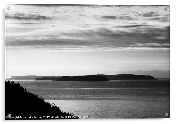 Caldey Island.B+W.Tenby. Acrylic by paulette hurley