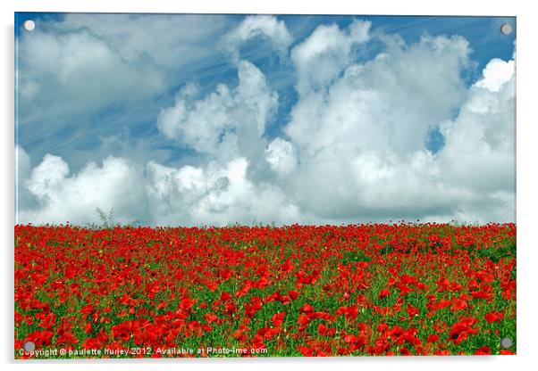 Poppy Field.Pembrokeshire. Acrylic by paulette hurley