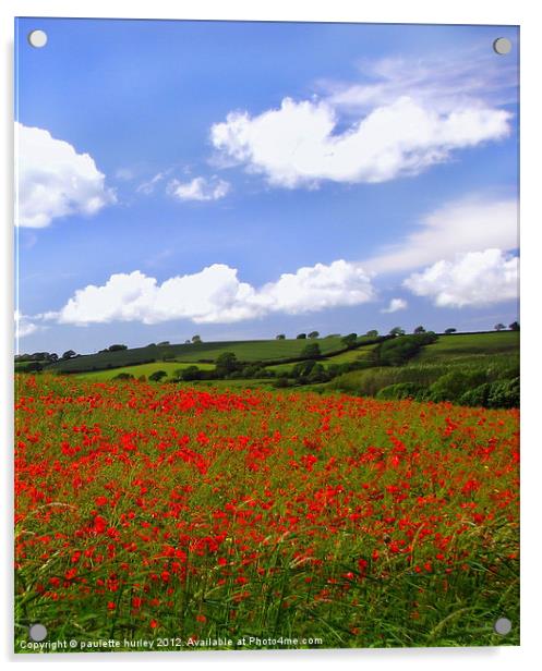 Poppy Pembrokeshire. Acrylic by paulette hurley