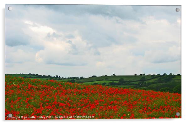Poppy.Pembrokeshire. Acrylic by paulette hurley