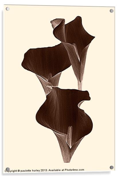 Brown Calla Lilly. Acrylic by paulette hurley