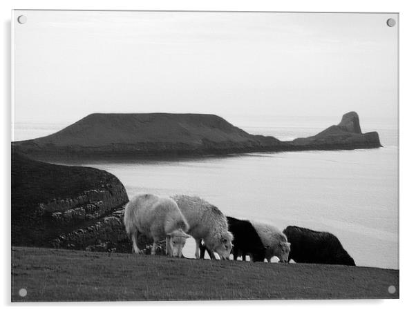 Worm's Head. Rhossili. Gower. Swansea. Acrylic by paulette hurley