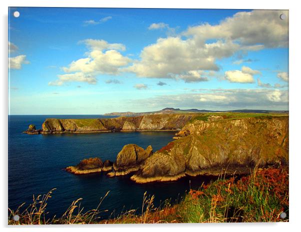 Pembrokeshire Coastal Path Acrylic by paulette hurley