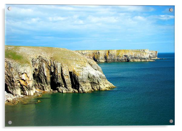 Pembrokeshire Coast.Wales. Acrylic by paulette hurley