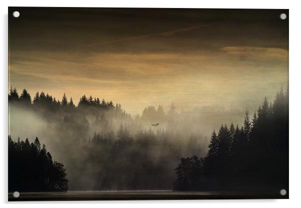 Loch Ard , Trossachs Acrylic by David Mould