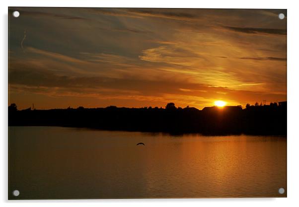 Sunset over Fishmoor Reservoir Acrylic by Peter Elliott 