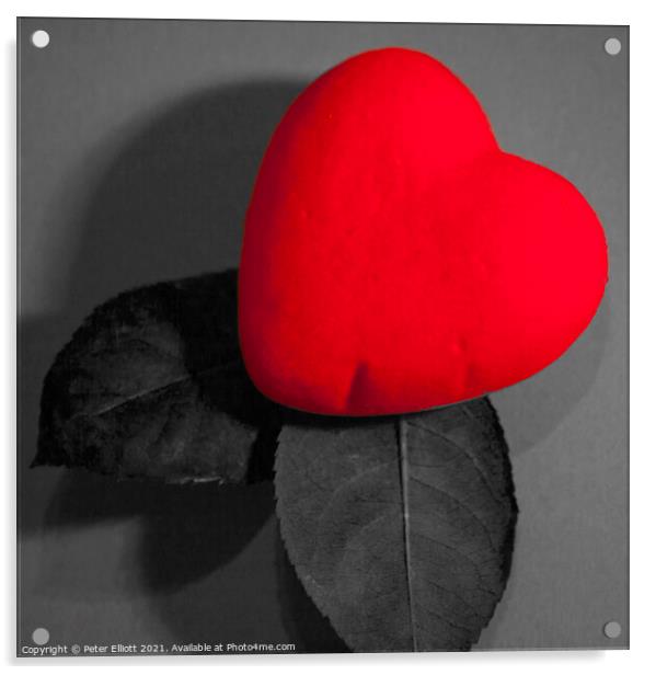 Heart and Leaves Acrylic by Peter Elliott 