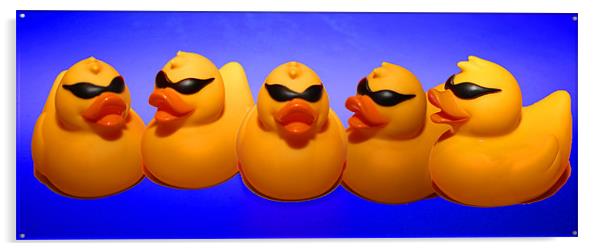 Ducks on Parade Acrylic by Peter Elliott 