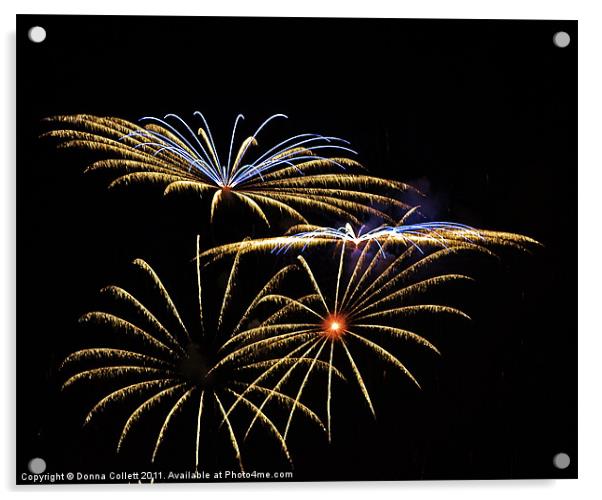 Flower Fireworks Acrylic by Donna Collett