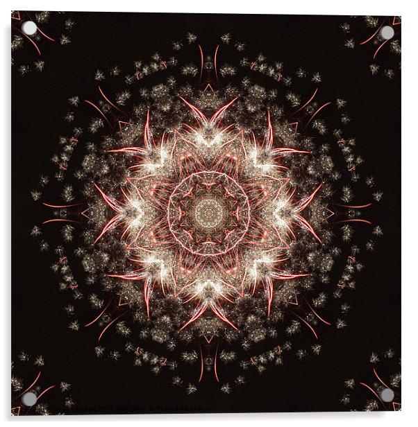 Firework Kaleidoscope Acrylic by Donna Collett