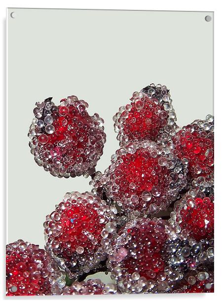 Frosted Berries Acrylic by Donna Collett