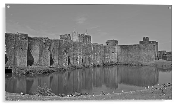 Caerphilly Castle Acrylic by Donna Collett