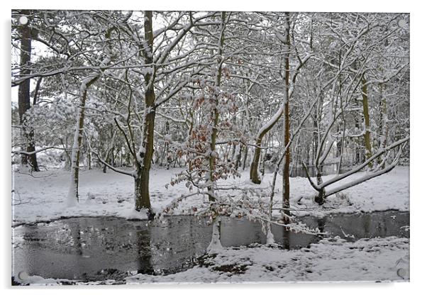 A winters pond Acrylic by Donna Collett