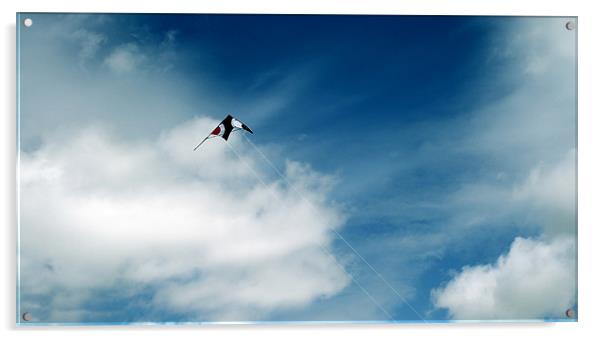 Fly A Kite Acrylic by Donna Collett