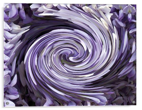 Wisteria Swirl Acrylic by Donna Collett