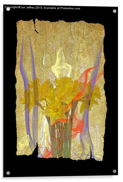 Daffodil Art Acrylic by Ian Jeffrey