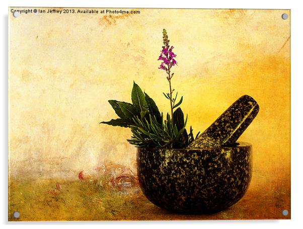 Herbs Acrylic by Ian Jeffrey