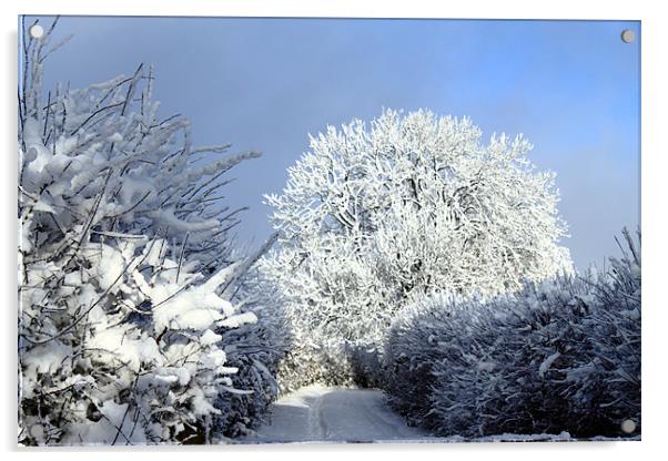 Winter scene Acrylic by Ian Jeffrey