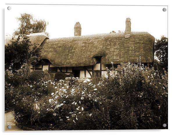 Cottage (Sepia) Acrylic by Ian Jeffrey