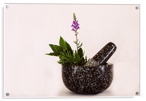 Mixed Herbs Acrylic by Ian Jeffrey