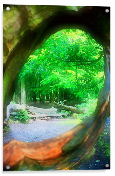 Framed Woodland Acrylic by Ian Jeffrey