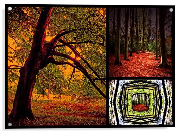 Autumn Collage Acrylic by Ian Jeffrey