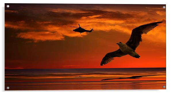 Two Birds At Sunset Acrylic by Ian Jeffrey