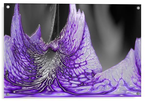 Glass Flower Acrylic by Ian Jeffrey