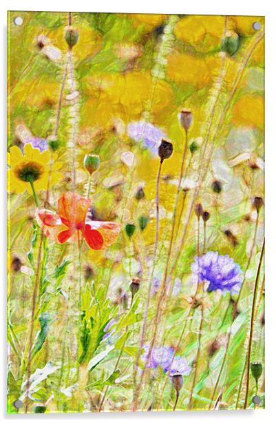 Summer Meadow Acrylic by Dawn Cox