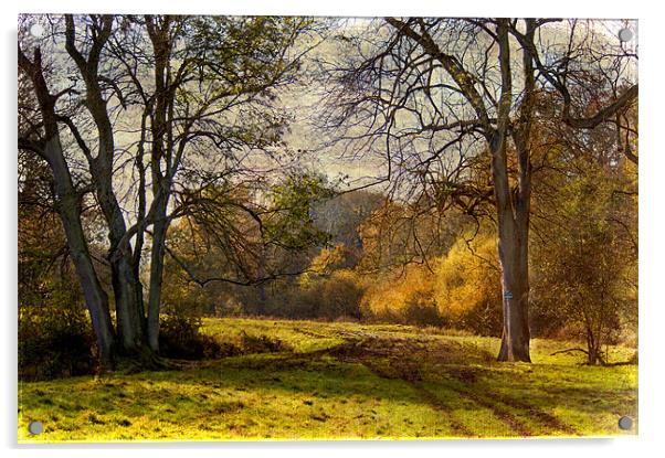 Kent Countryside Acrylic by Dawn Cox