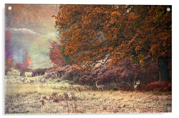 Autumn landscape Acrylic by Dawn Cox