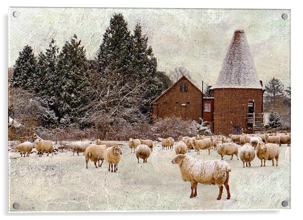 Too cold even for sheep Acrylic by Dawn Cox