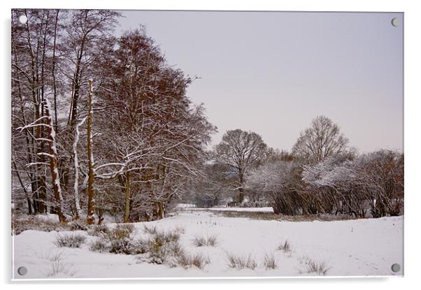 Winter wonderland Acrylic by Dawn Cox