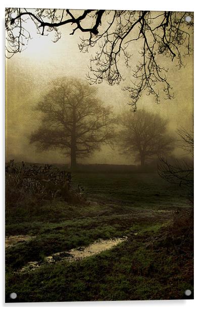 Through the mist Acrylic by Dawn Cox