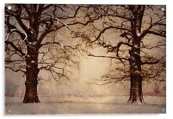 Winter at its coldest Acrylic by Dawn Cox