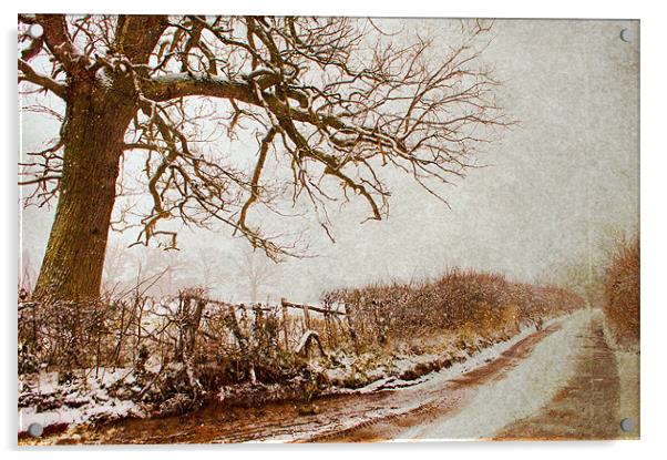 snowy kent country lane Acrylic by Dawn Cox
