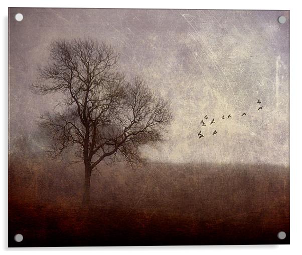 Dark Rising Acrylic by Dawn Cox