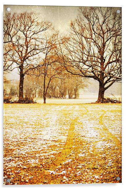 Light snow flurries across the field Acrylic by Dawn Cox