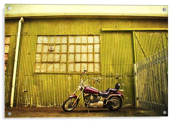 Easy Rider Acrylic by Dawn Cox