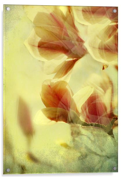 Spring Breeze Acrylic by Dawn Cox