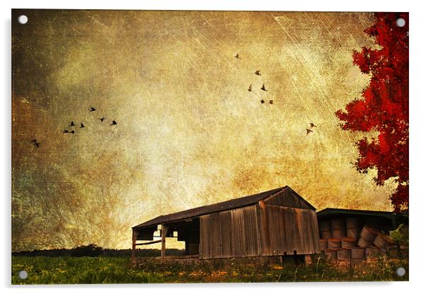 Old Barn. Acrylic by Dawn Cox