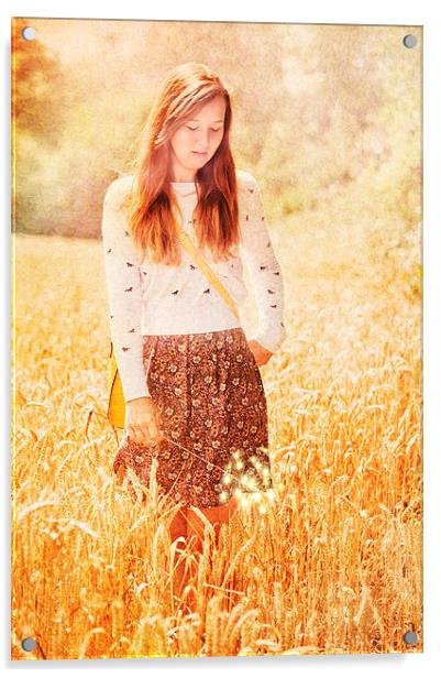 golden field Acrylic by Dawn Cox