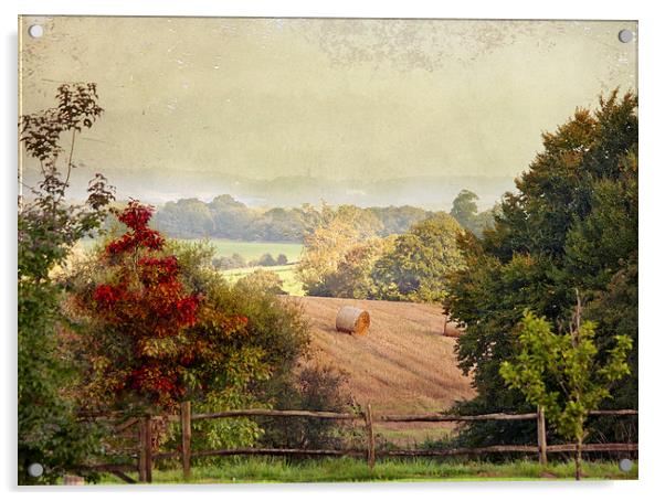 October Fields Acrylic by Dawn Cox