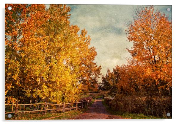 Autumnal  Vibrance Acrylic by Dawn Cox