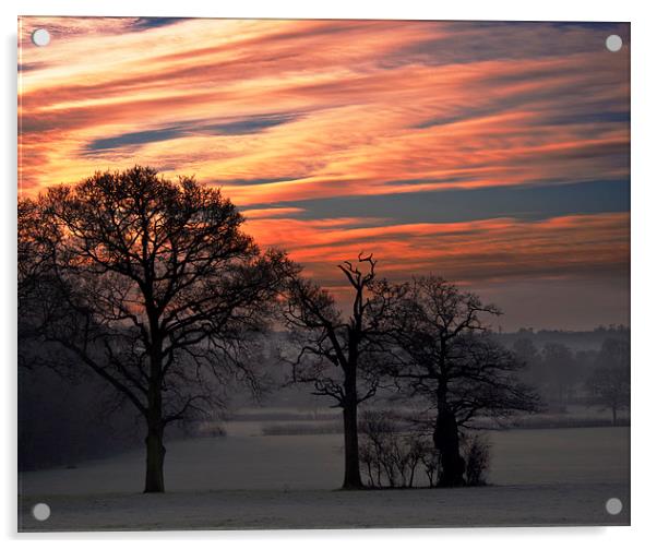 Sun Rise over Chiddingstone Acrylic by Dawn Cox