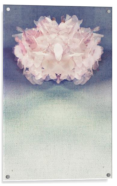 Dainty Hydrangea Acrylic by Dawn Cox
